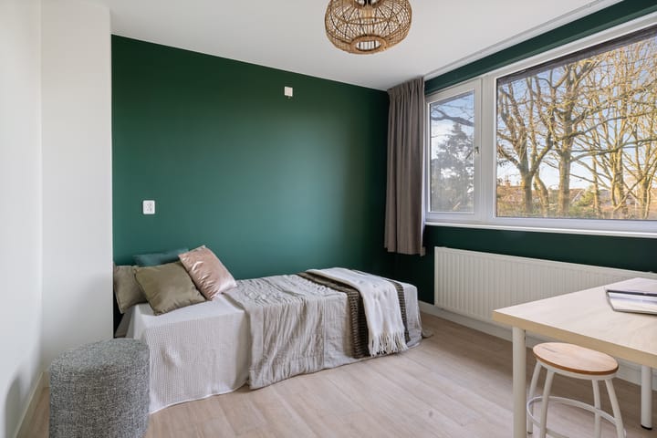 Foto 21 van Contrabas 63