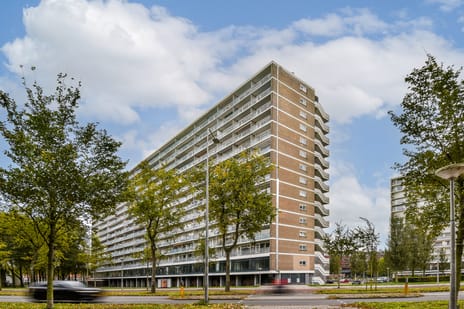 Burgemeester Hogguerstraat thumbnail