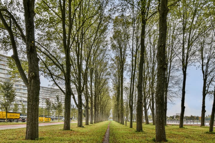 Photo 25 of Burgemeester Hogguerstraat 1041