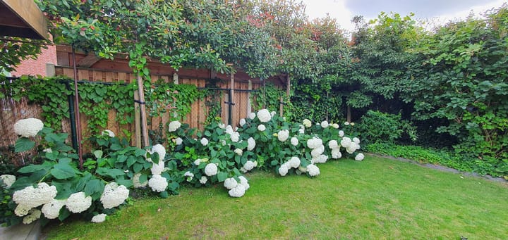 Photo 47 of Burgemeester Vermeulenstraat 17