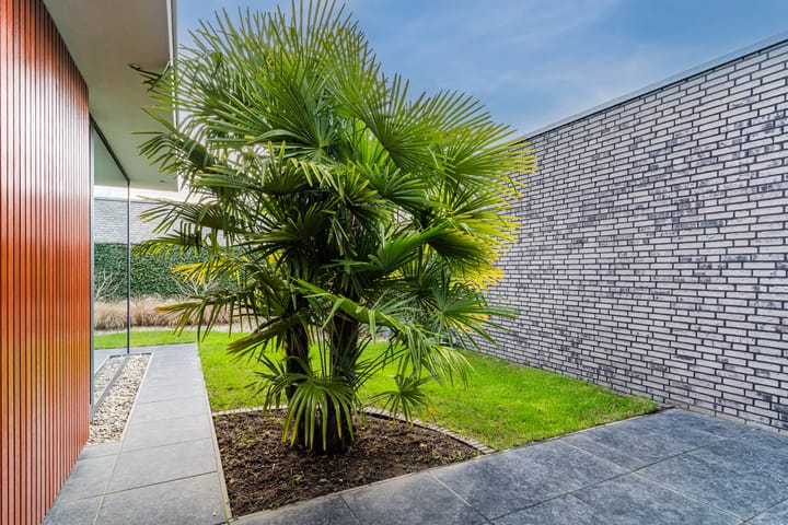 Foto 36 van Burg. Swachtenstraat 4