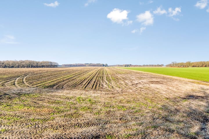 Foto 62 van Hoofdweg 59