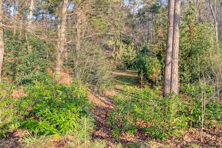 Foto 65 van Hoofdweg 59