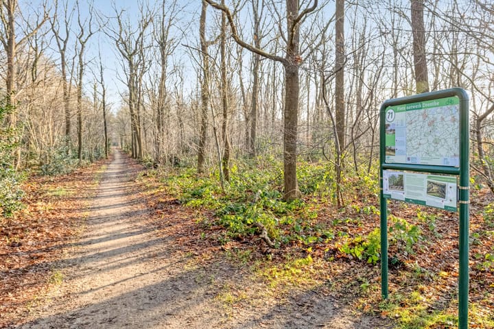 Foto 66 van Hoofdweg 59