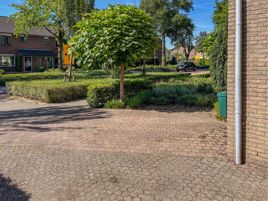 Foto 8 van de Els 36