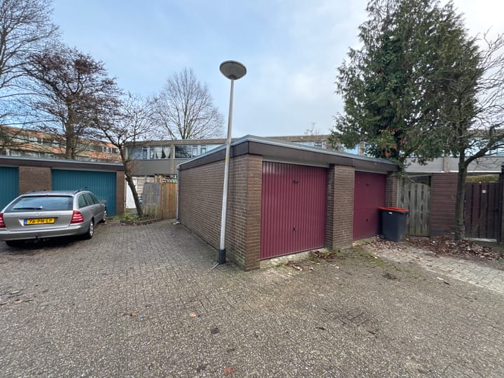 Foto 2 van Koekoeksbloem 6