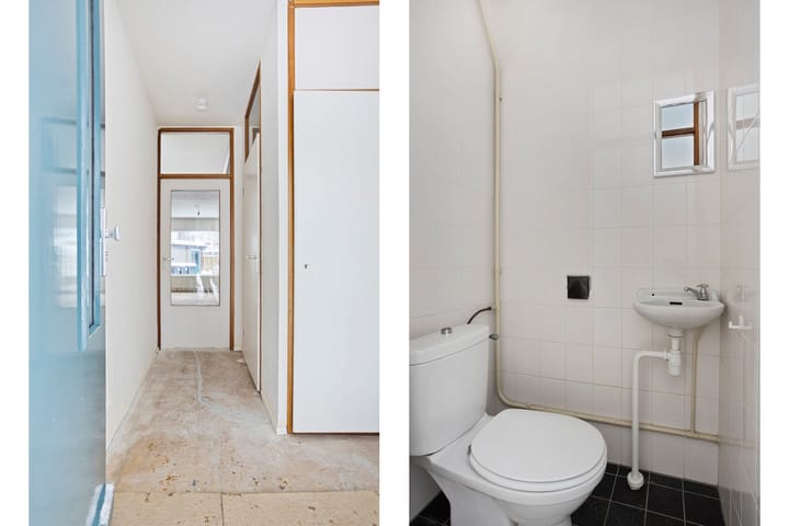 Foto 7 van Koekoeksbloem 6