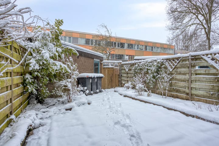 Foto 25 van Koekoeksbloem 6