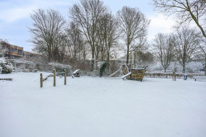 Foto 30 van Koekoeksbloem 6