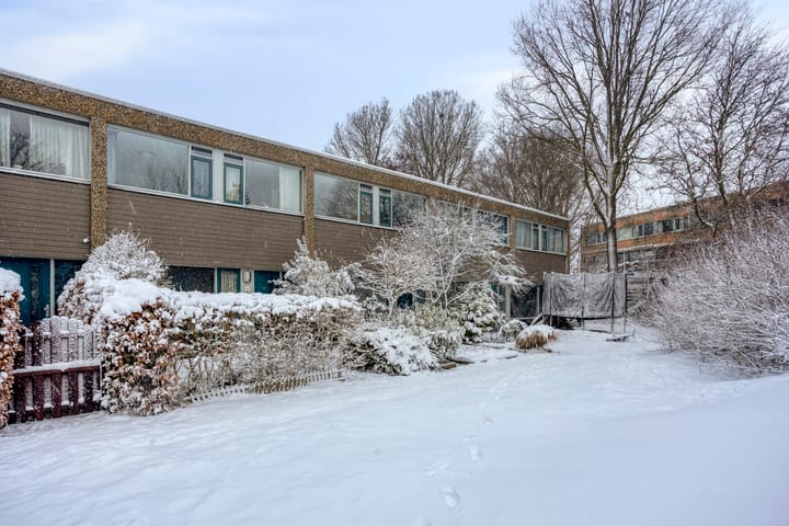 Foto 31 van Koekoeksbloem 6