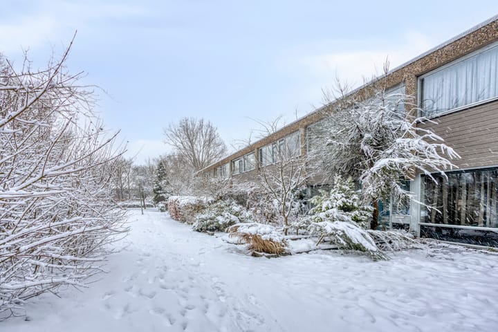 Foto 32 van Koekoeksbloem 6