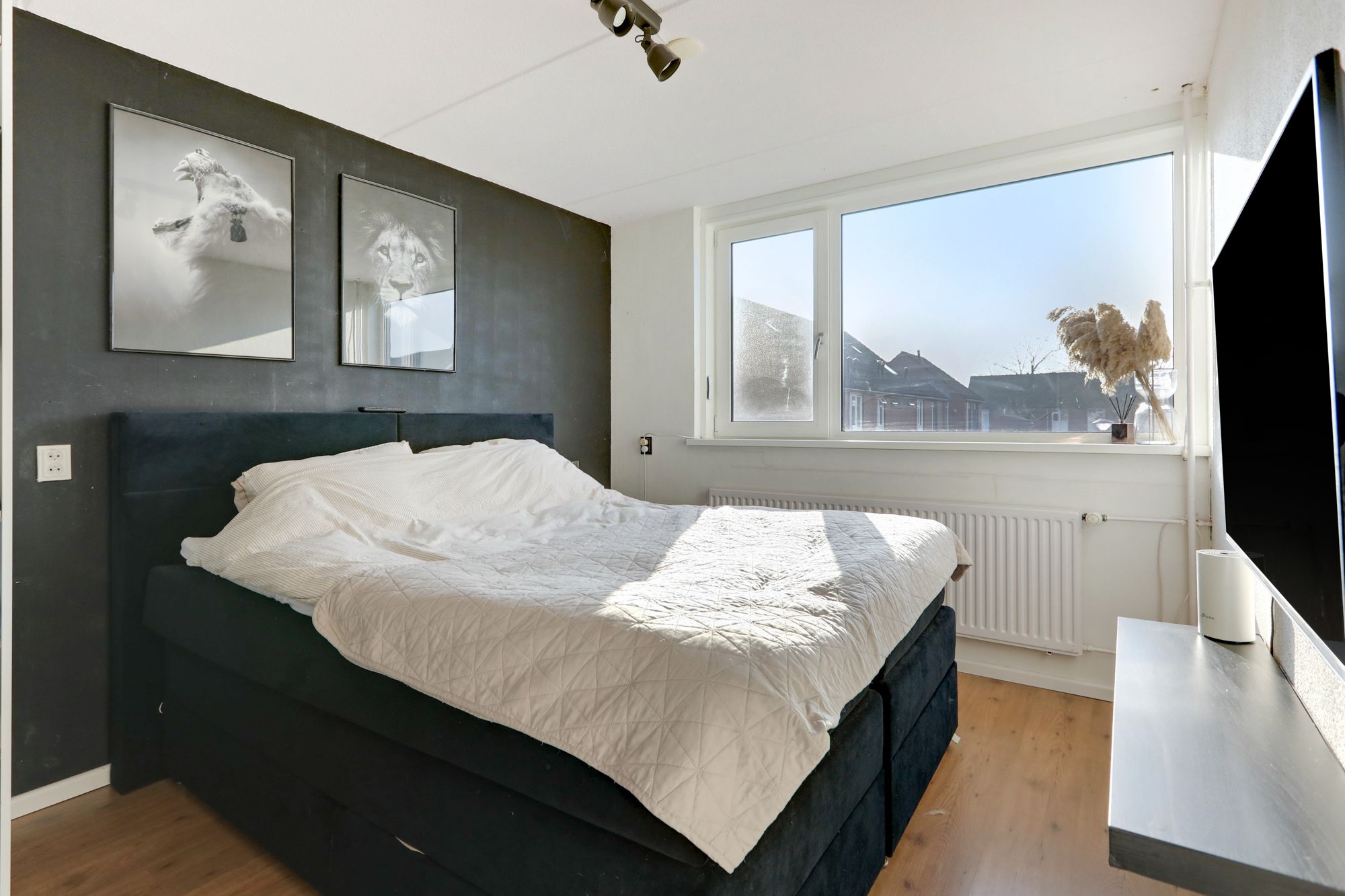 Foto 21 van Kaeltjes Hofstee 31