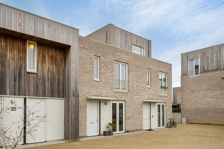 Grasbloem 2-E main image