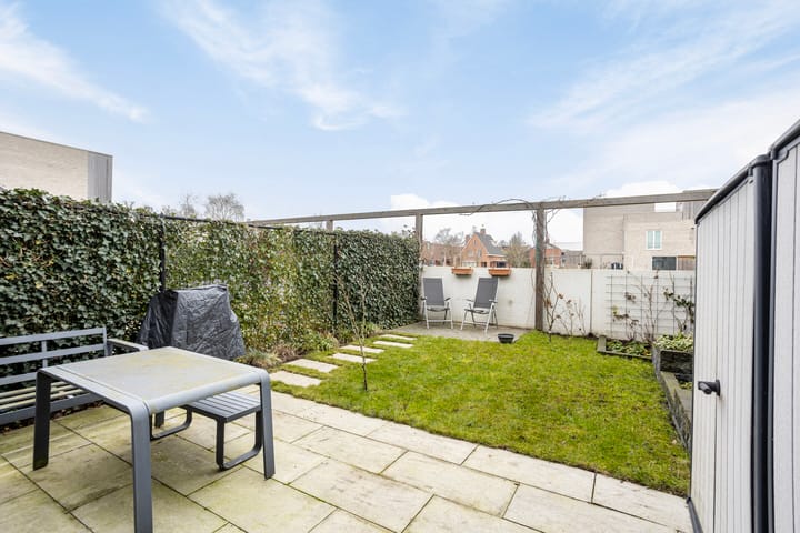 Foto 4 van Grasbloem 2-E