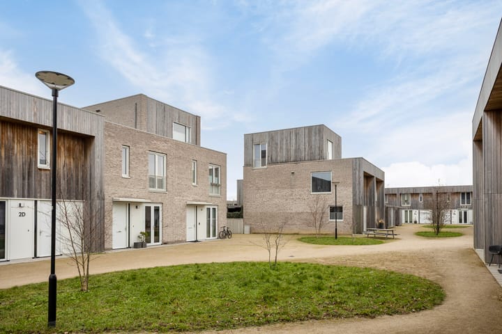 Foto 6 van Grasbloem 2-E