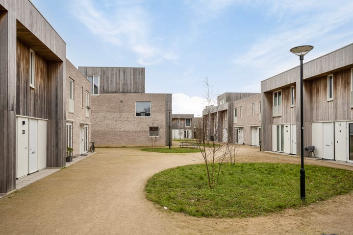 Foto 9 van Grasbloem 2-E