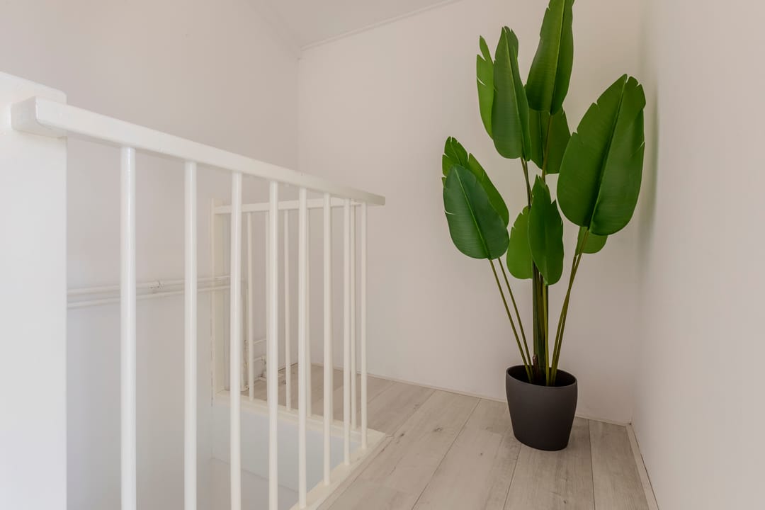 Foto 28 van Da Costastraat 8