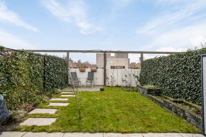 Foto 33 van Grasbloem 2-E