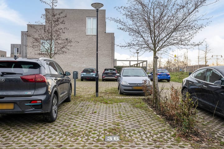 Foto 36 van Grasbloem 2-E