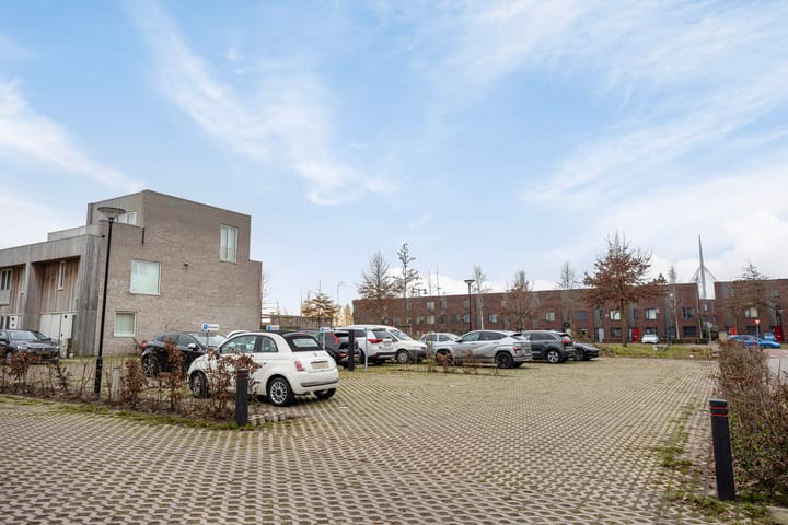 Foto 37 van Grasbloem 2-E