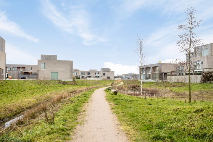 Foto 38 van Grasbloem 2-E