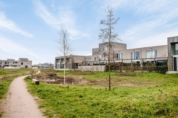 Foto 39 van Grasbloem 2-E