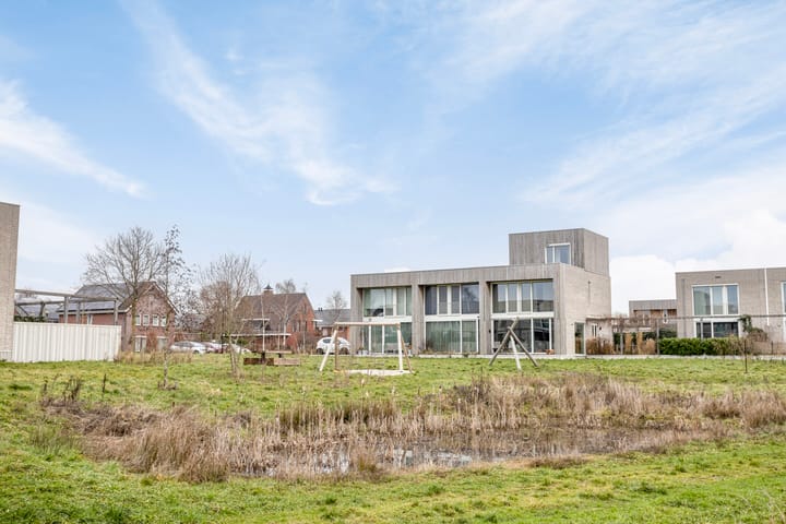 Foto 40 van Grasbloem 2-E