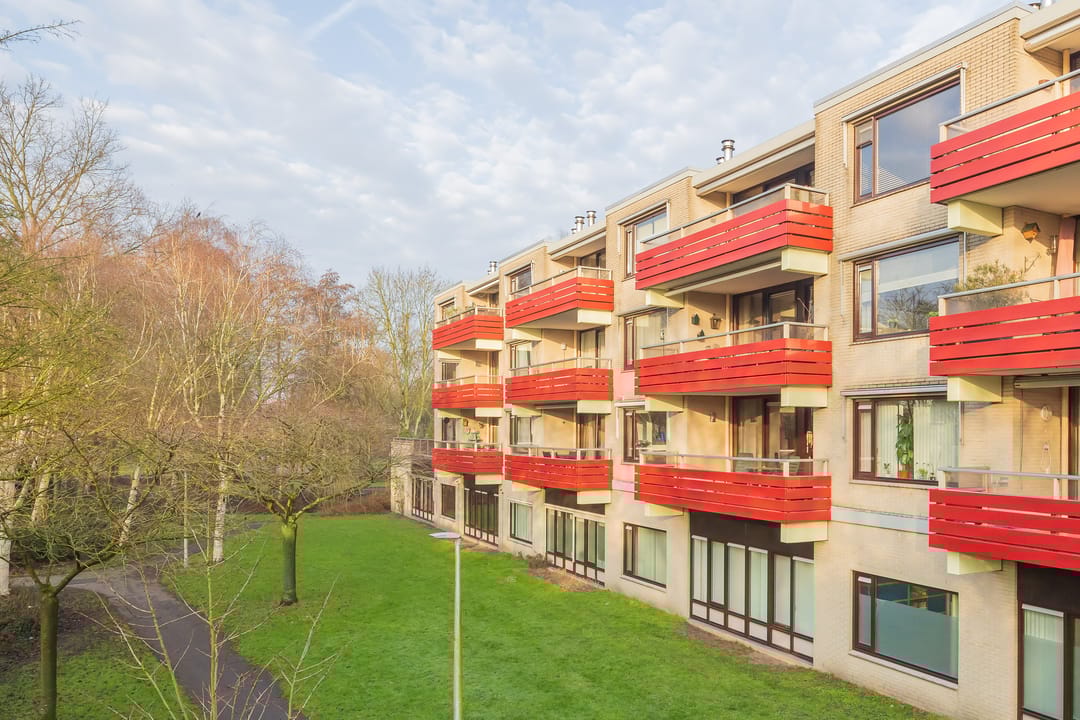 Photo 1 of Logger 229