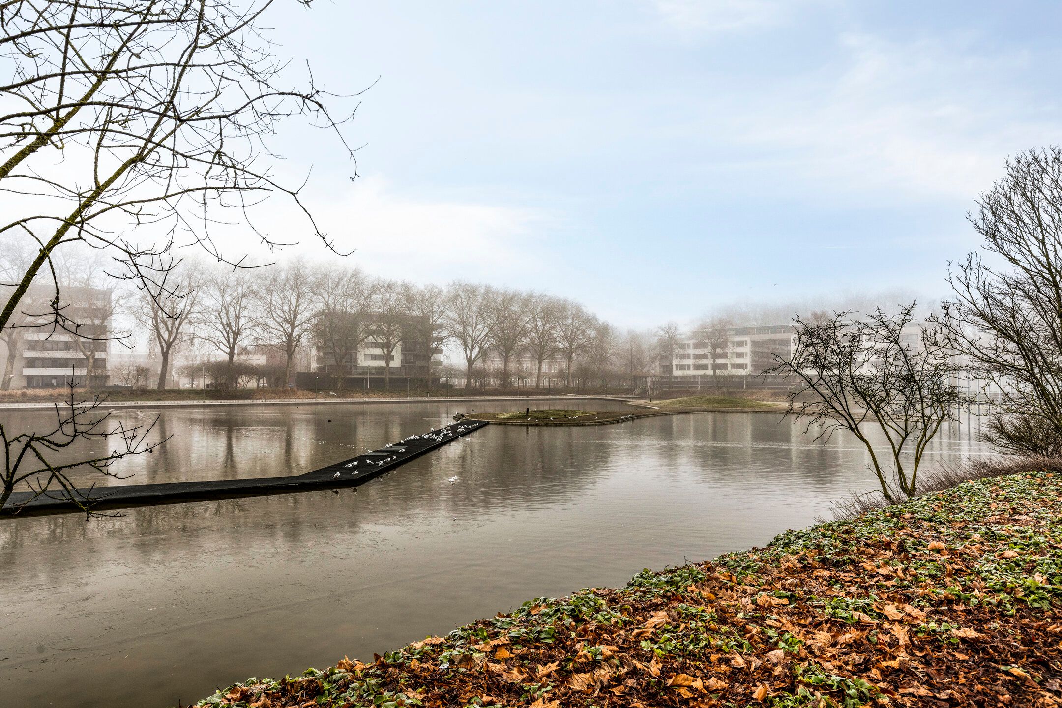 Photo 33 of Gebroeders van Eijckstraat 10