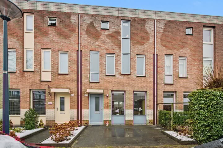 Robert Stolzhof 217 main image