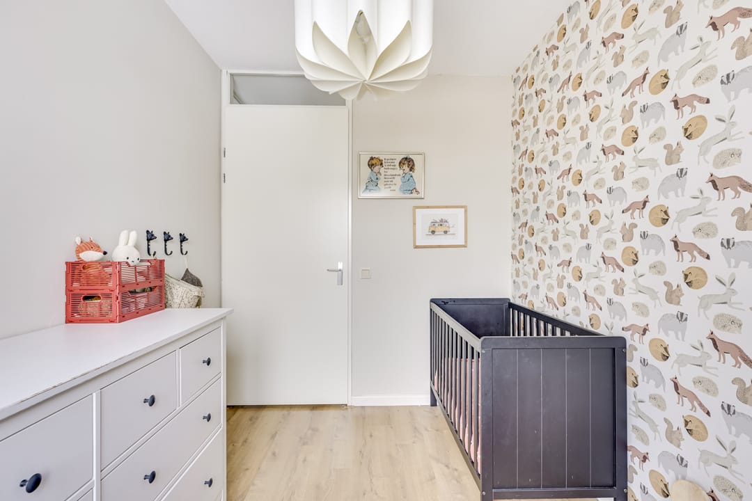 Photo 17 of Druifstraat 6