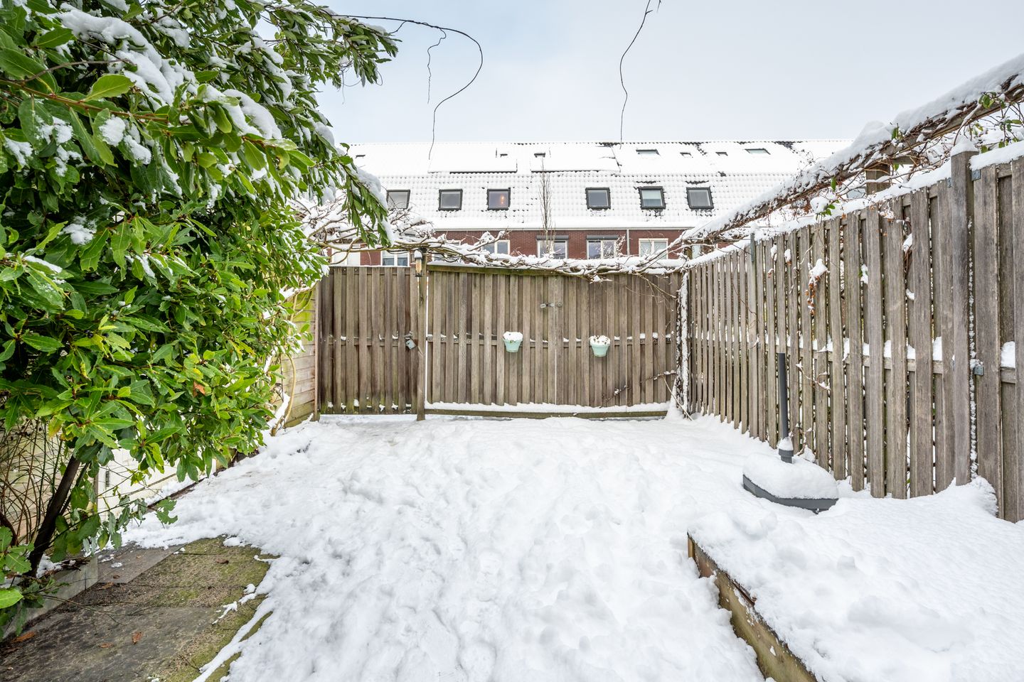 Photo 34 of Druifstraat 6