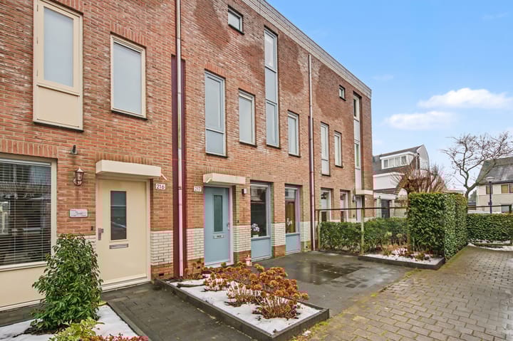 Photo 36 of Robert Stolzhof 217