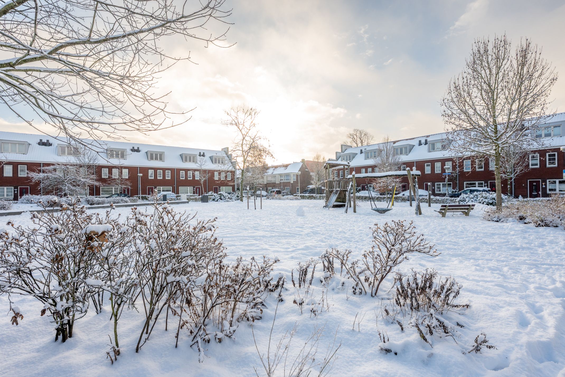 Photo 39 of Druifstraat 6