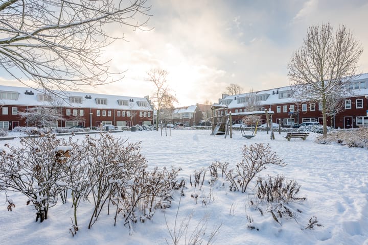 Foto 39 van Druifstraat 6