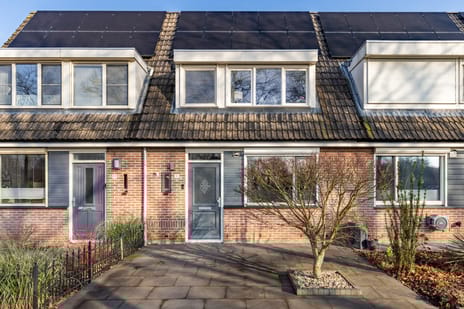 van der Goesstraat thumbnail