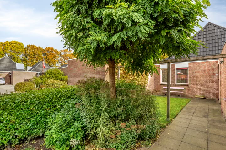 Foto 9 van het Schar 25