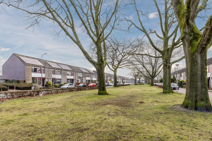 Foto 43 van Rector Buijselstraat 4