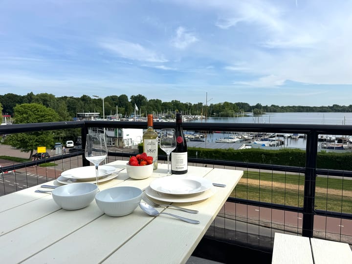 Photo 13 of Kralingse Plaslaan 99