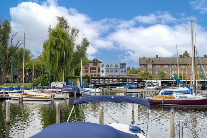 Photo 36 of Kralingse Plaslaan 99