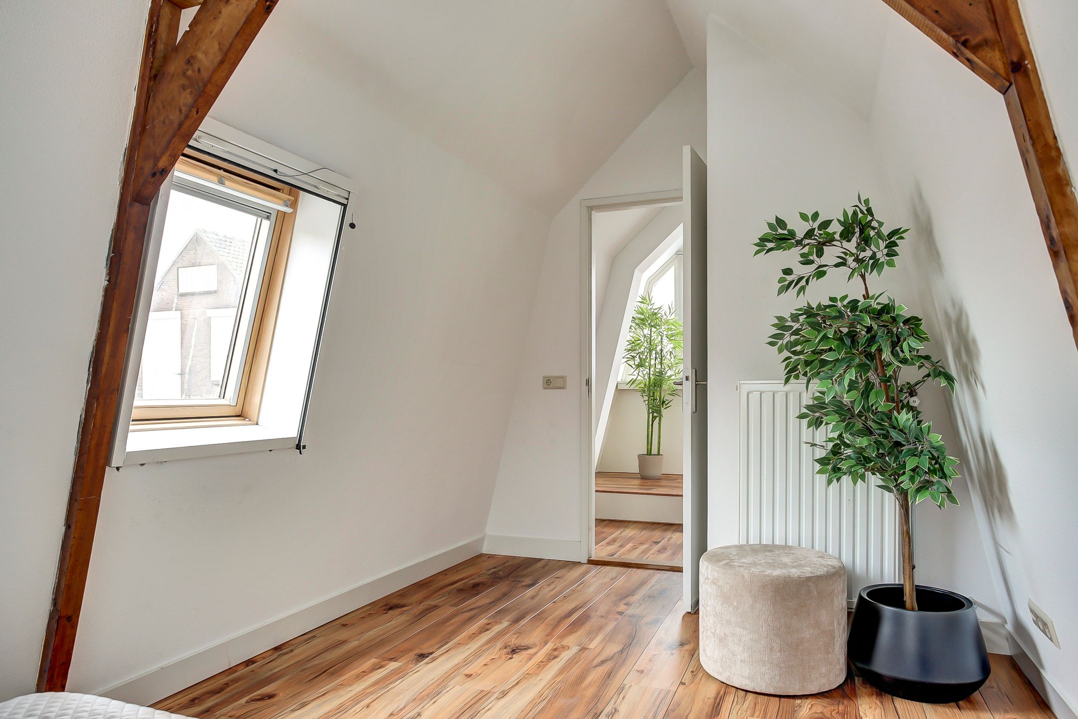 Photo 12 of Klooster 2-A