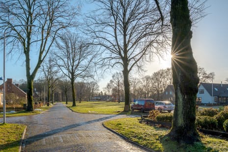 Lindelaan 36 secondary image