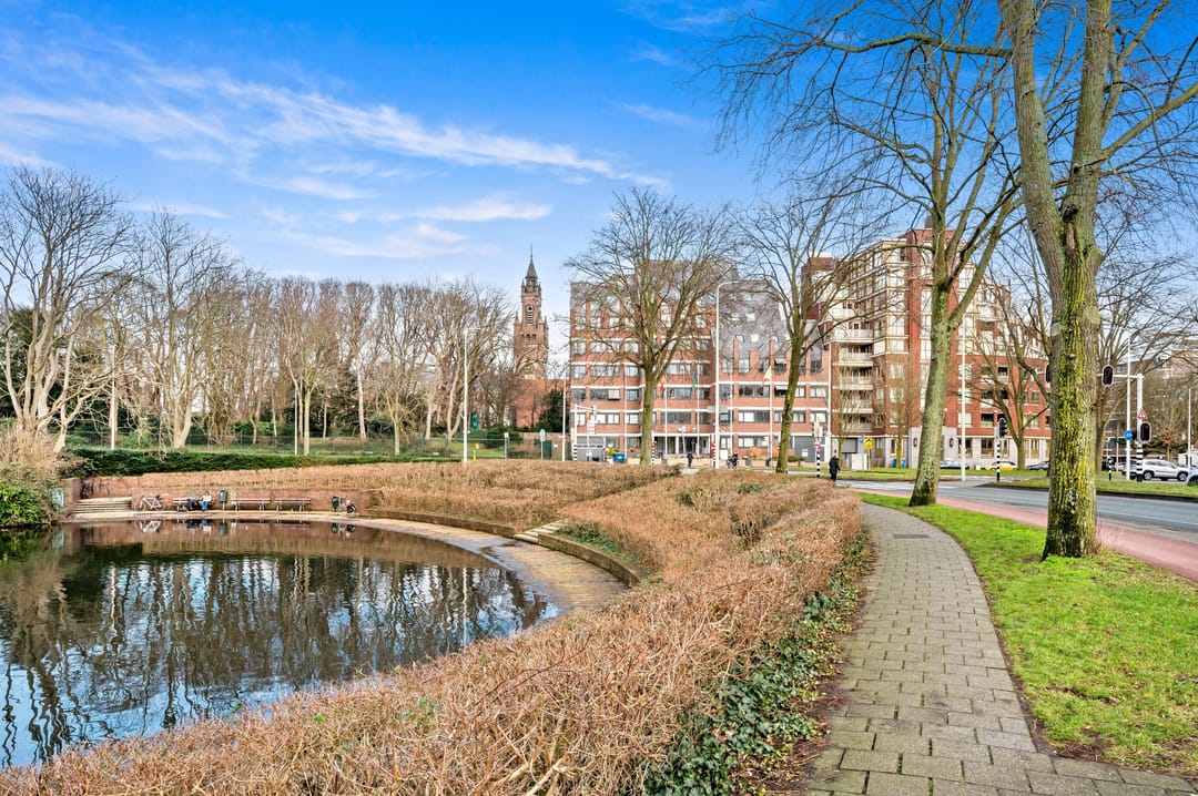 Foto 43 van Groot Hertoginnelaan 8-V