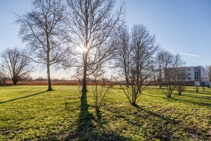 Foto 43 van Aziëlaan 276