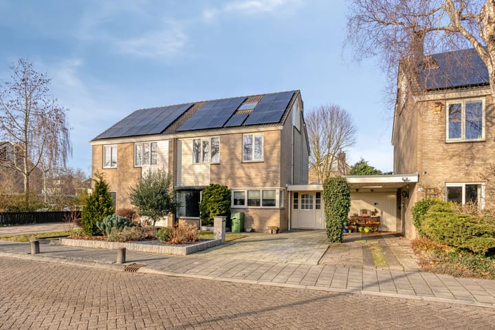 Foto 5 van Gerard Doustraat 102