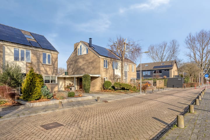 Foto 40 van Gerard Doustraat 102