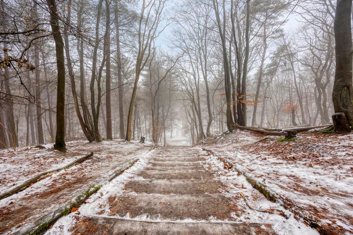 Foto 49 van Meikeverstraat 14