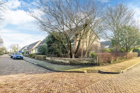 Blomfinne 2 secondary image