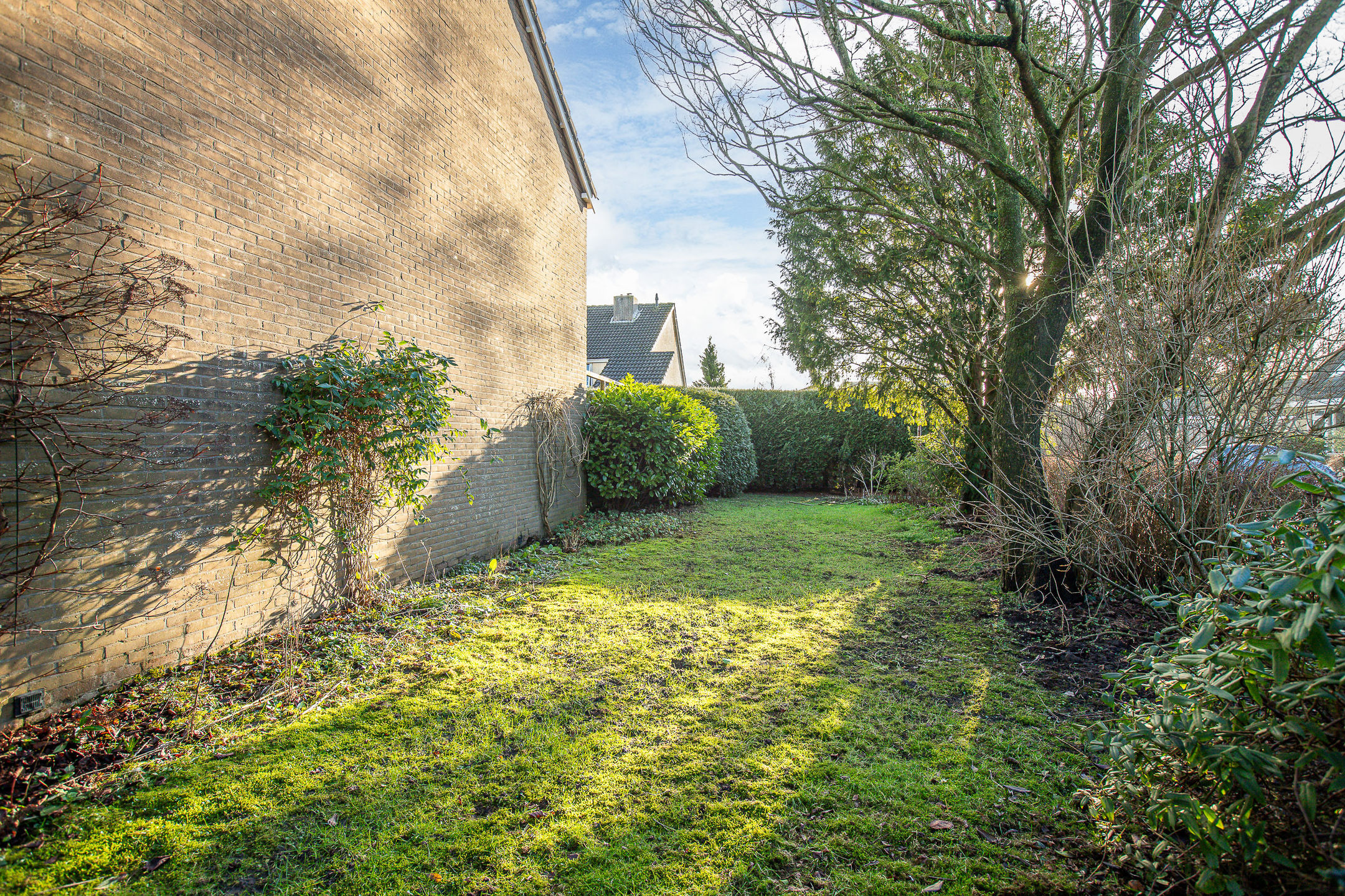 Foto 3 van Blomfinne 2