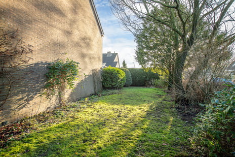 Blomfinne 2 tertiary image